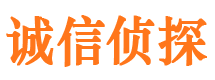 元坝诚信私家侦探公司